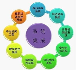 拉勾網(wǎng) 信息系統(tǒng)集成服務(wù)的價值與未來趨勢